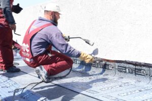 whatsapp image 2026 03 30 at 12.46.32 pm