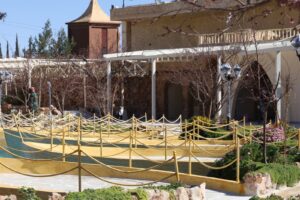 whatsapp image 2026 04 14 at 10.45.03 am